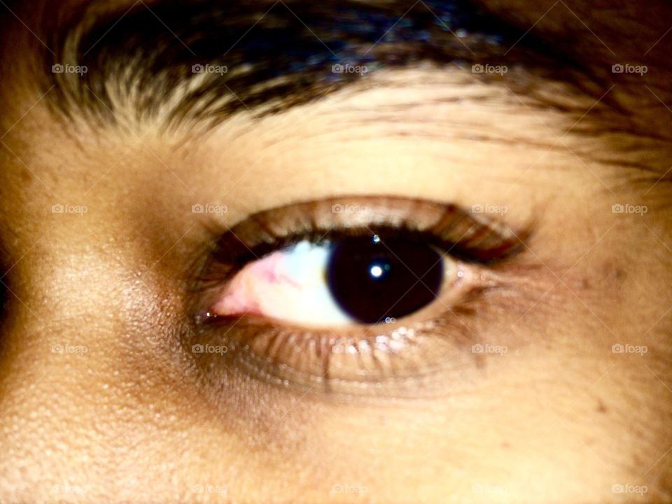 human eye iris 