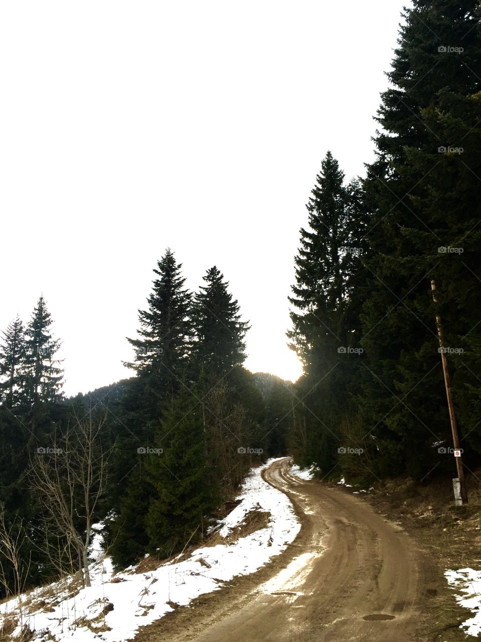 Beautiful forests in Bosnia and Herzegovina...
Nice weekend ☺️☺️