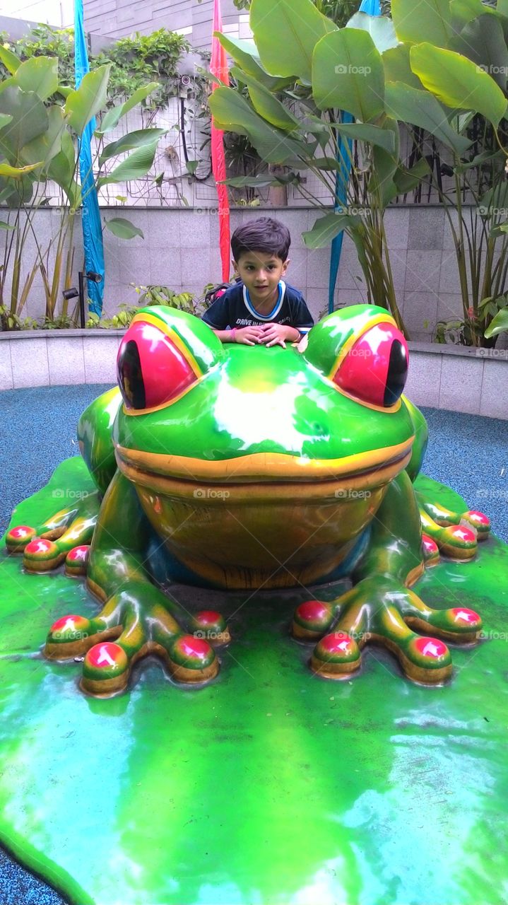 Ridit Frog play