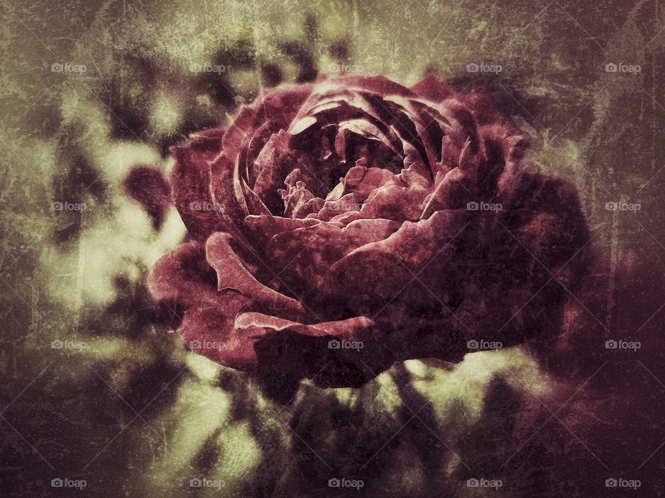 No Person, Art, Science, Painting, Texture