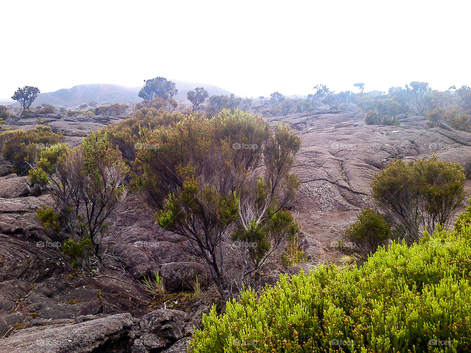 Trek Île de la Réunion