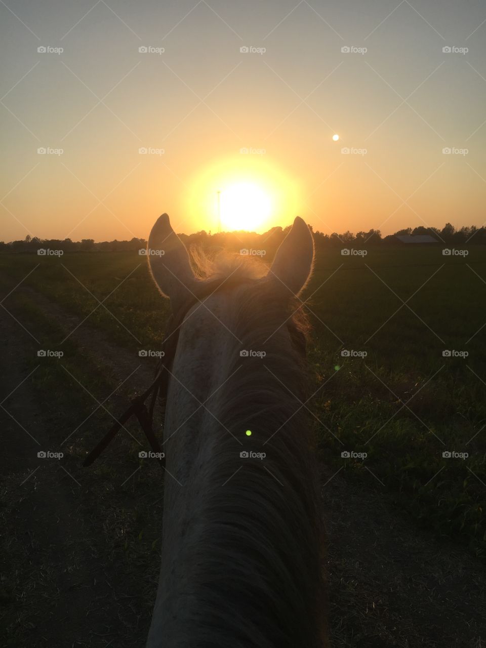 Horseback riding at sunset 
