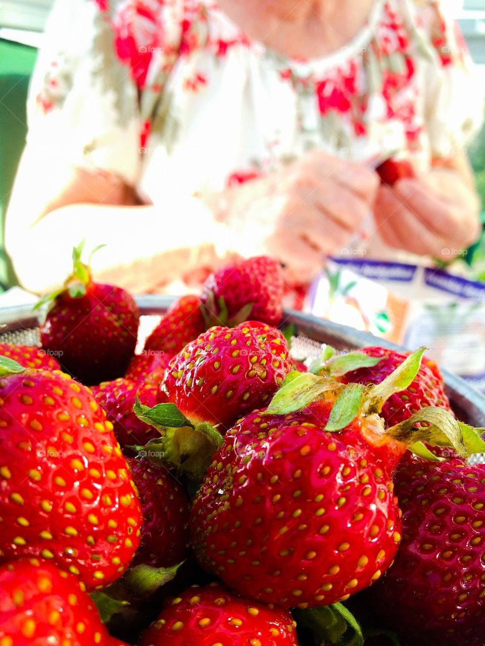 Strawberry lover. Strawberries