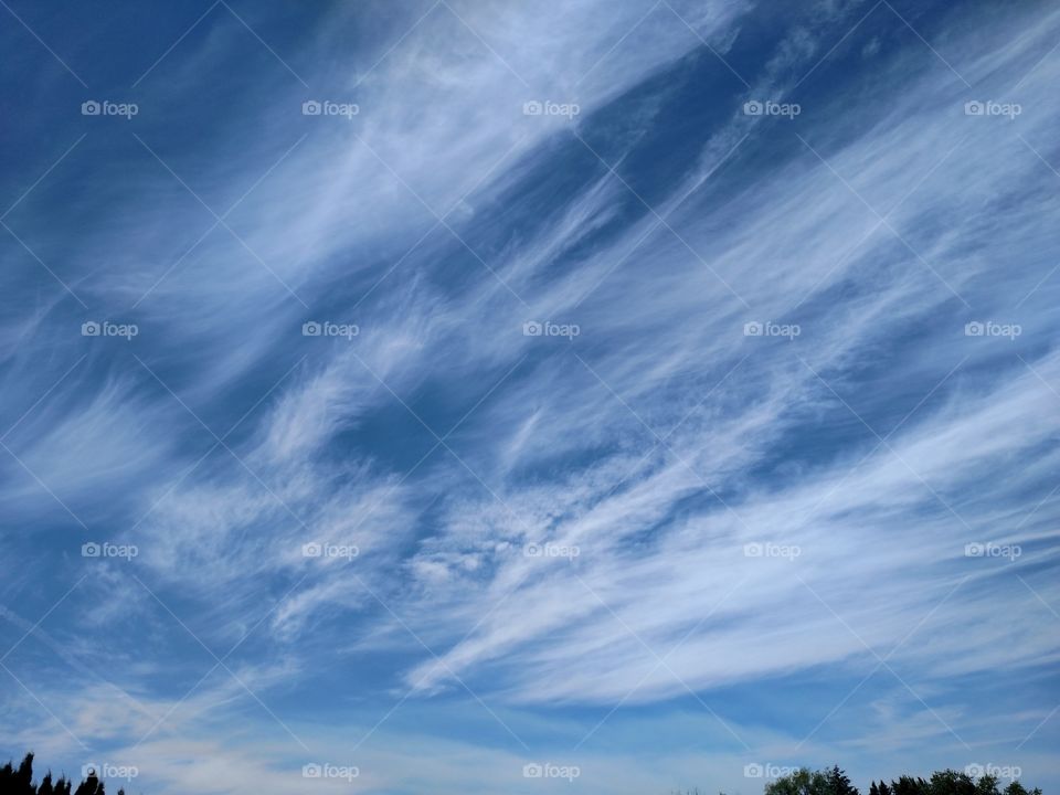 Horsetail clouds.