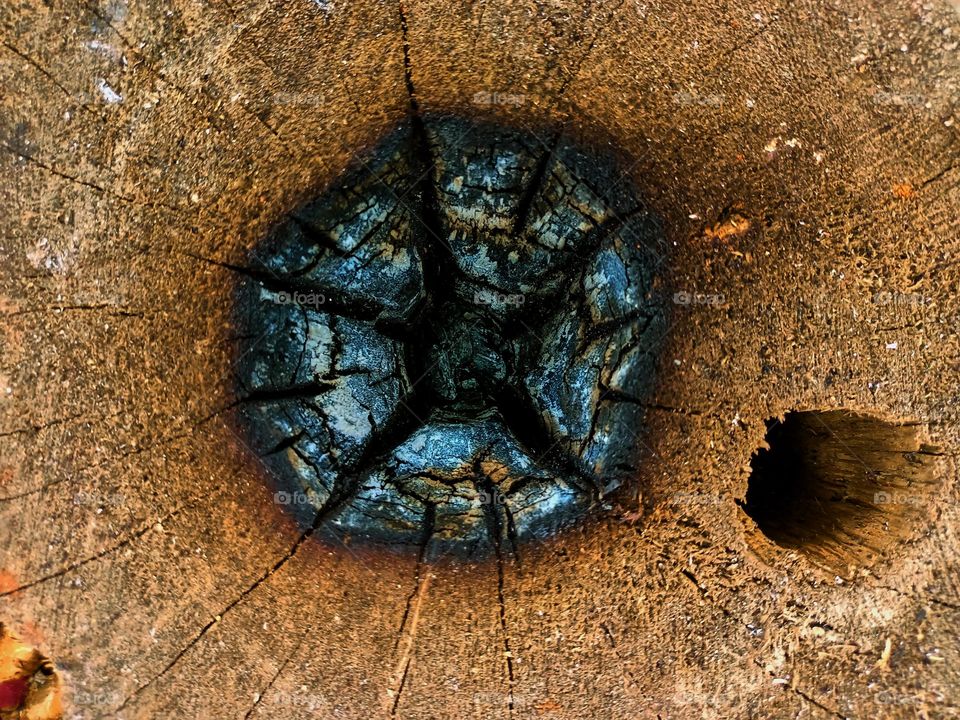 The details pattern of old Stump and it's was burn