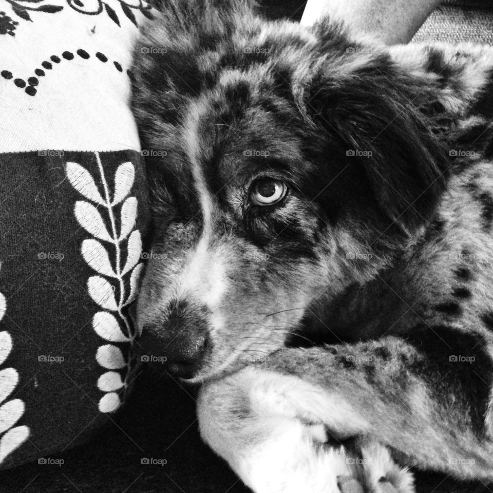 Some days I just want to go back to bed