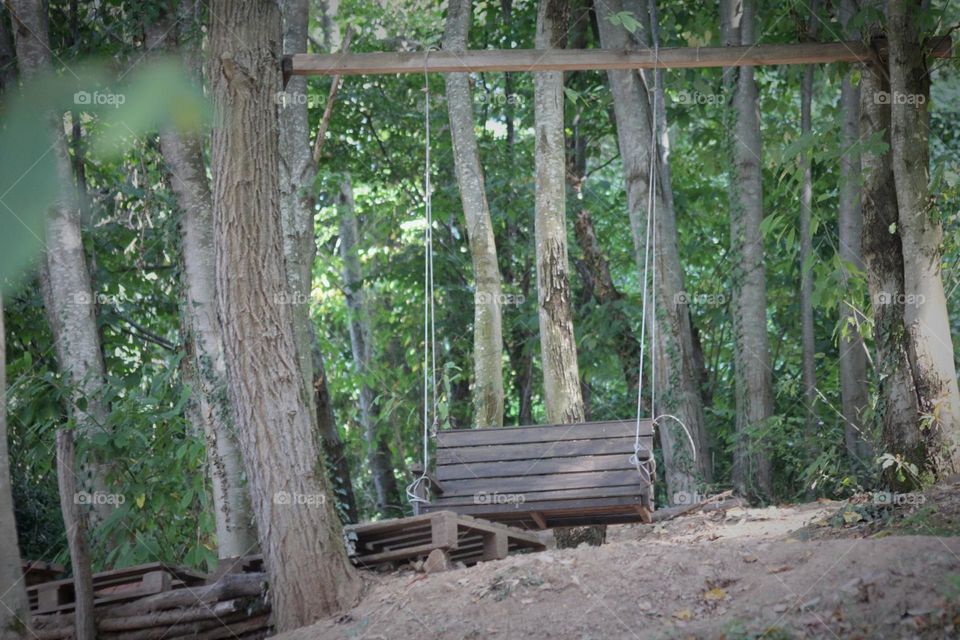 Abandoned swing