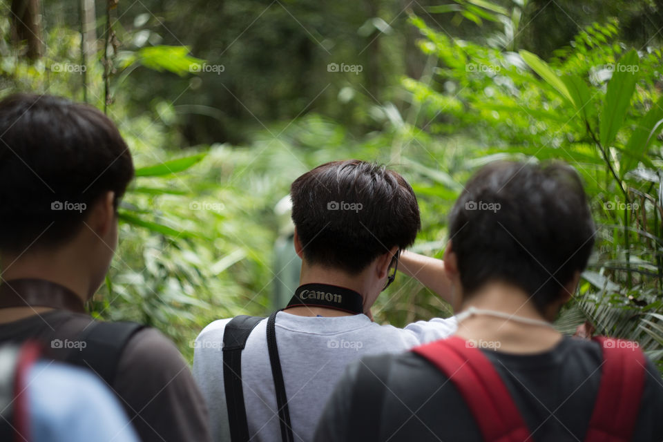 Man talking a photo in the forest 