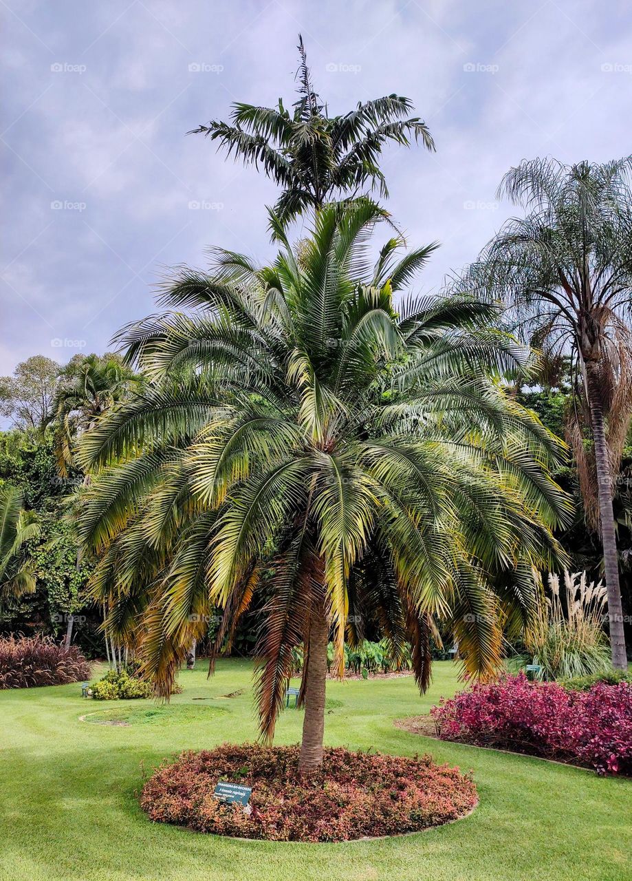 Plantarum Botanical Garden