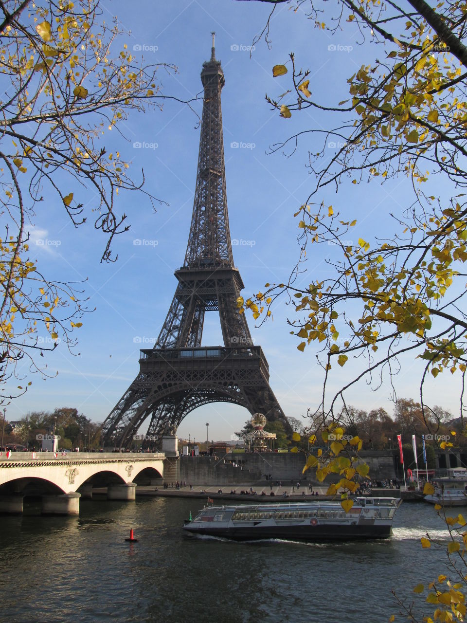 Eiffel Tower and trees