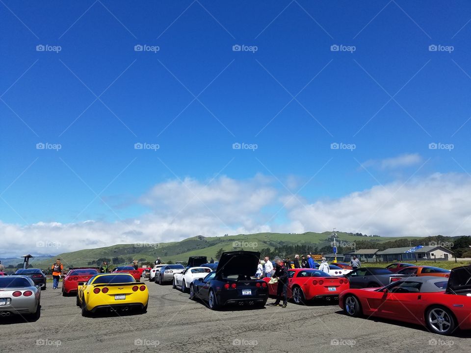 corvette group cars