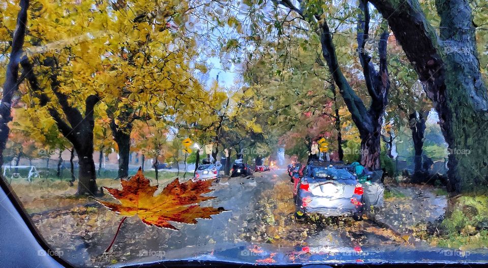 Autumn view through a car window