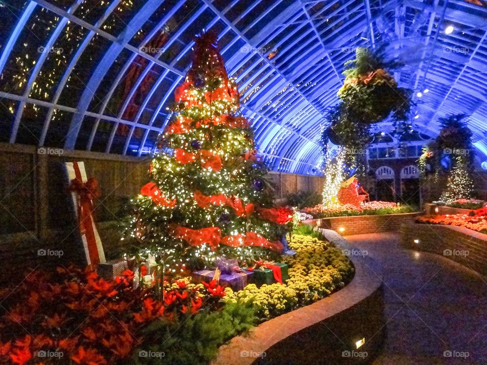 Winter Garden display 



