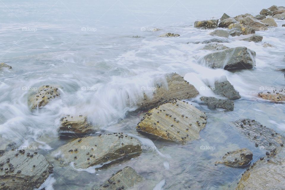 Wave at the seaside beach