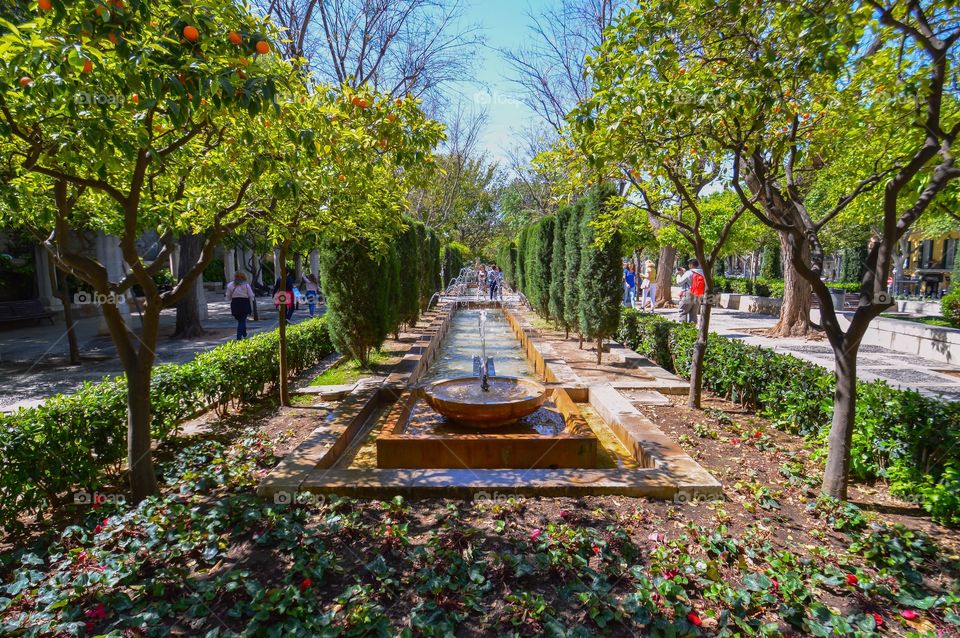 Jardines del Huerto del Rey, Palma de Mallorca (Mallorca - Spain)