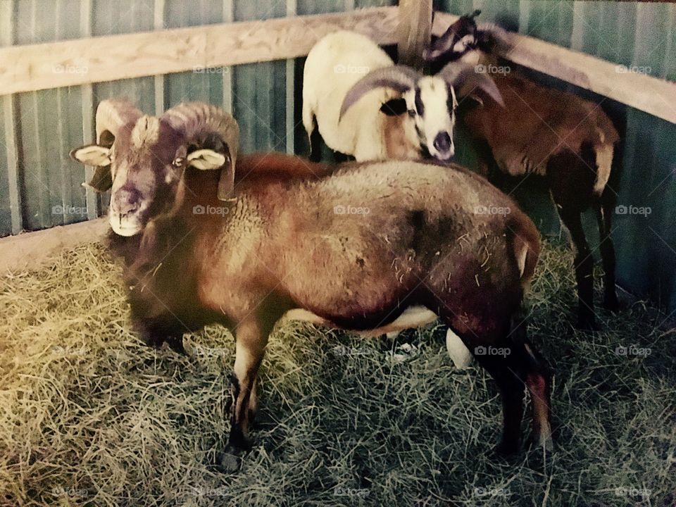 What you looking at ? 