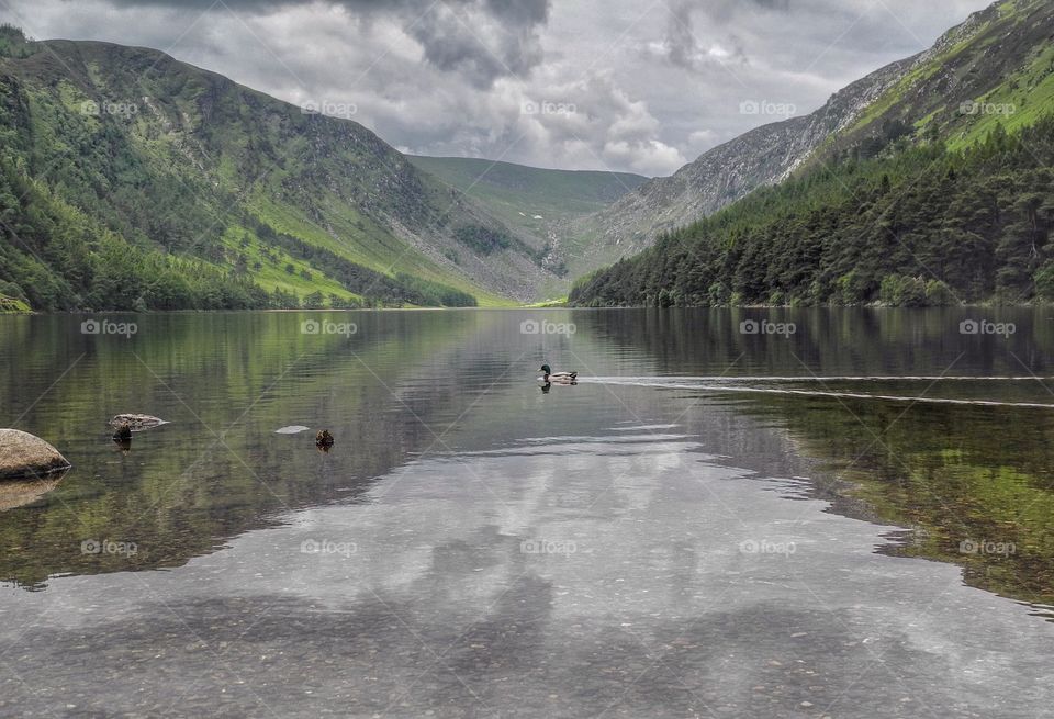 Scenic view of lake