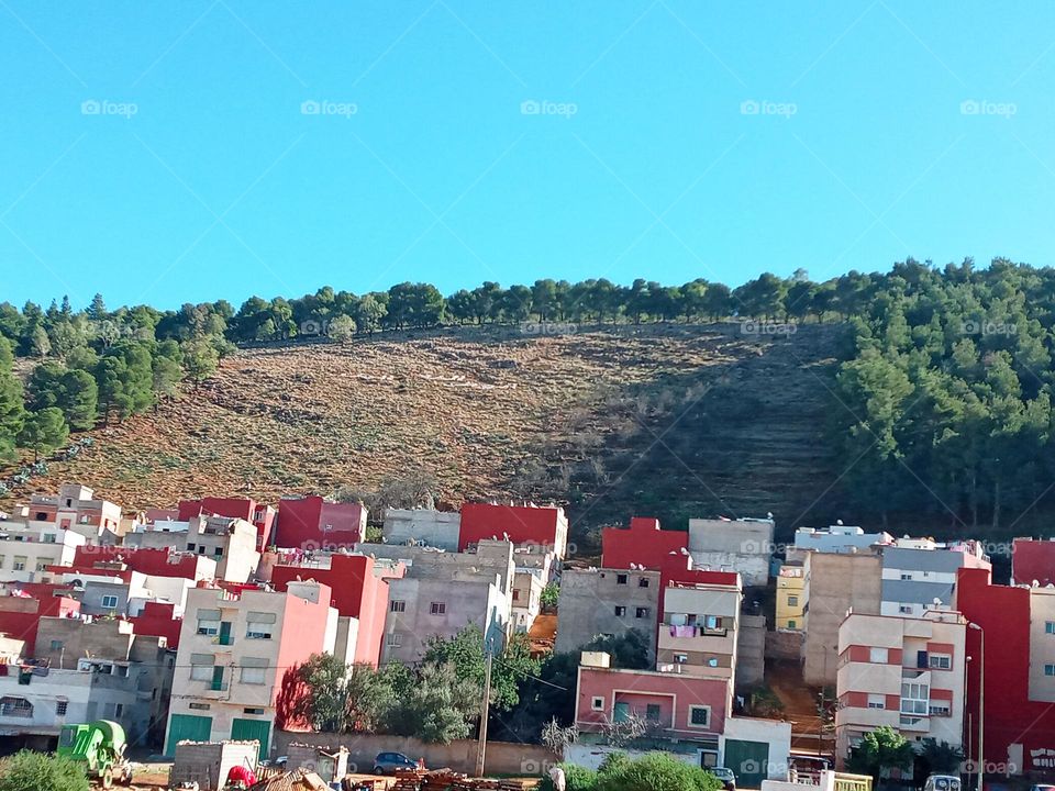 Population between the nature