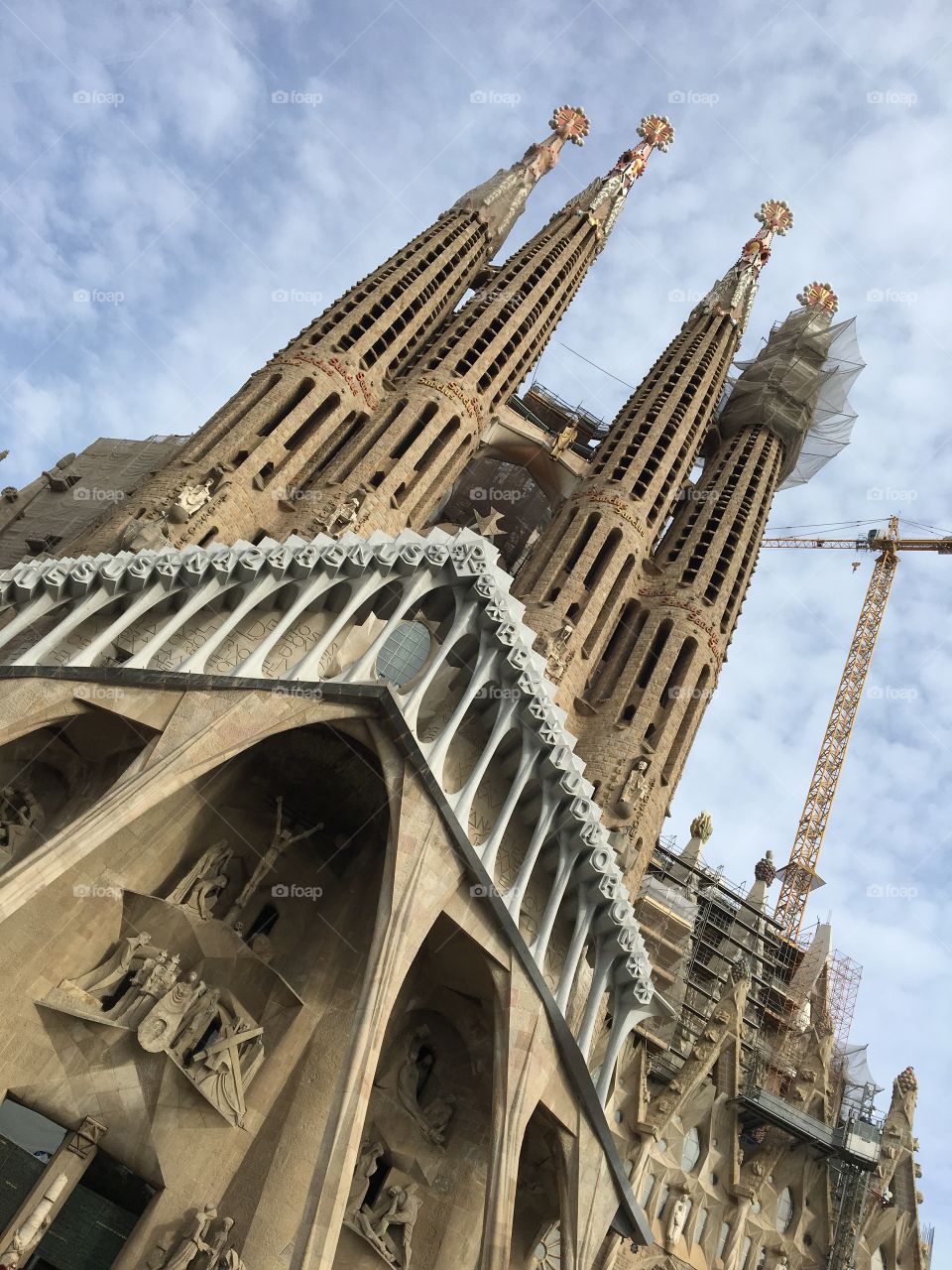 Sagrada 