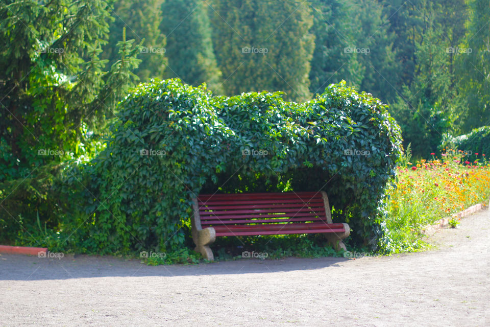 Bench in the park under the cover