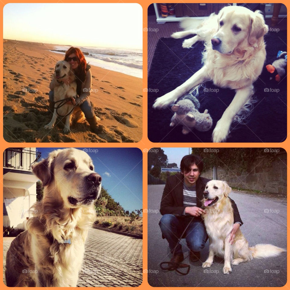 Using an app from iPhone to create some collage