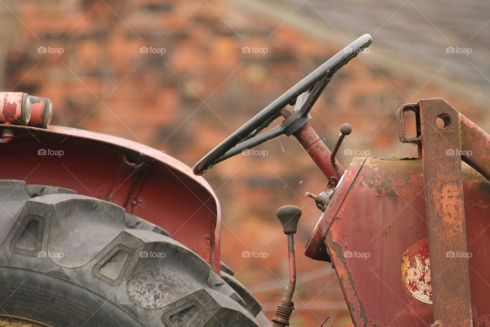Tea break on the farm