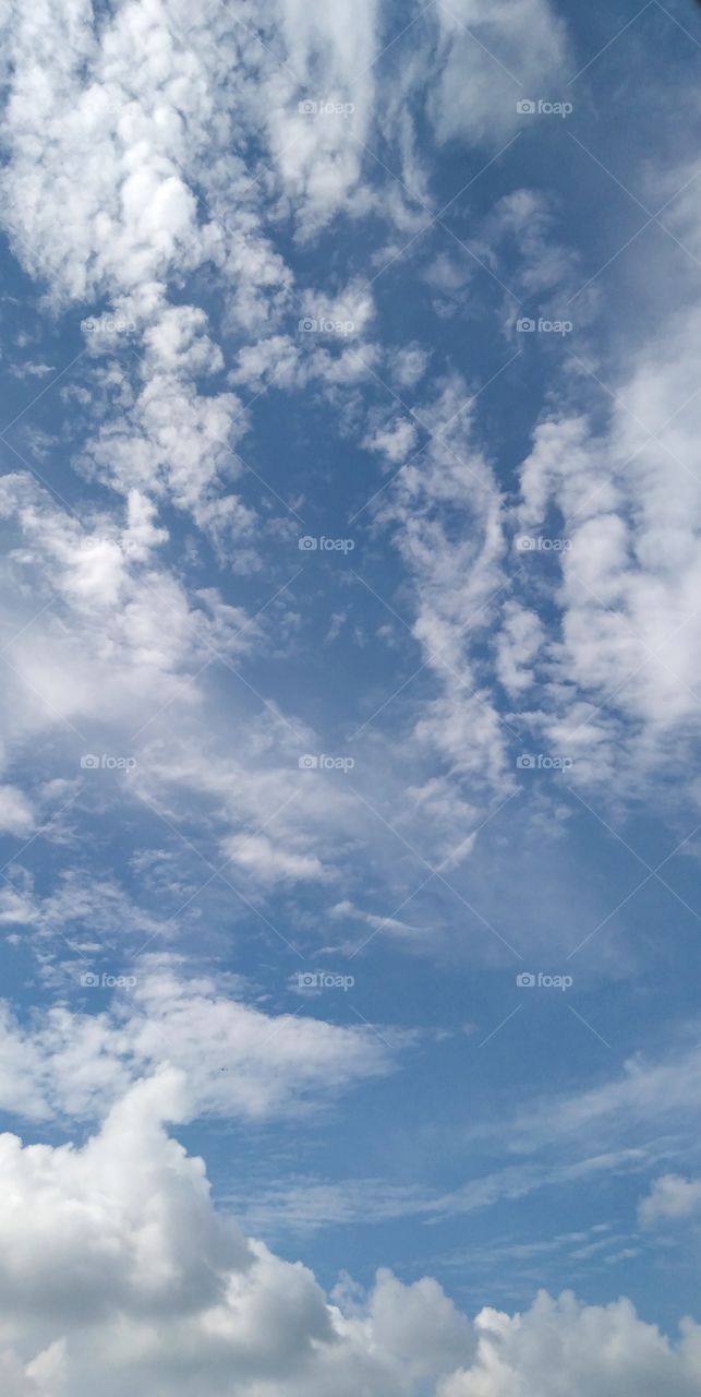 A child looking something in the blue sky.