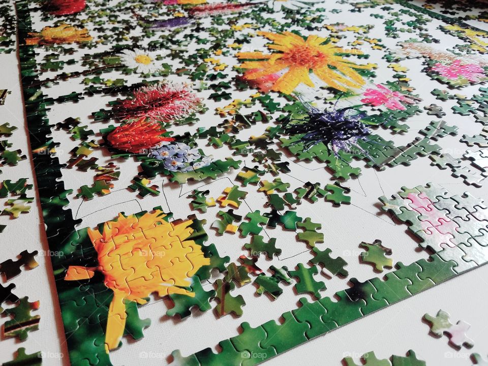 Large Jigsaw Puzzle