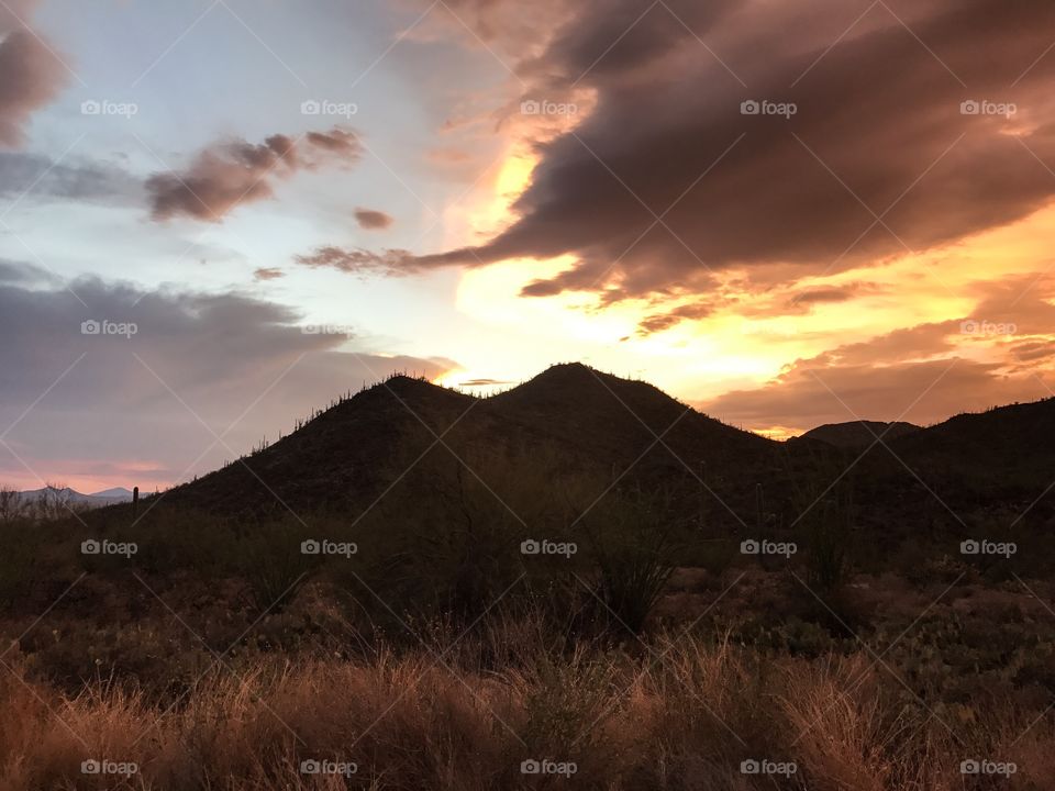 Desert Sunset Landscape 