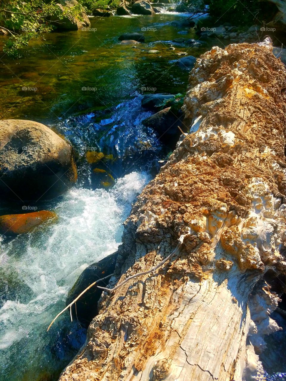West branch of the feather river