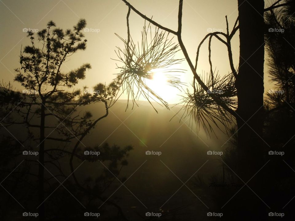 beautiful landscape sunset