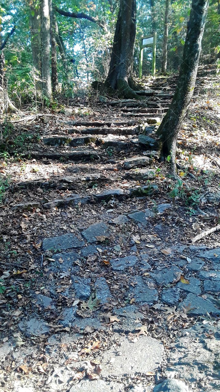 Rock pile  trail Muscle Shoals Alabama