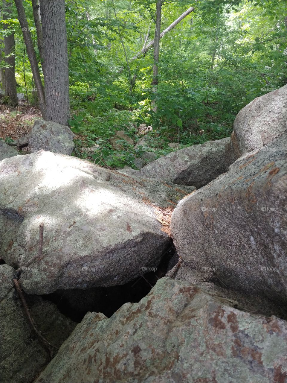 nice little rock formation in the park today
