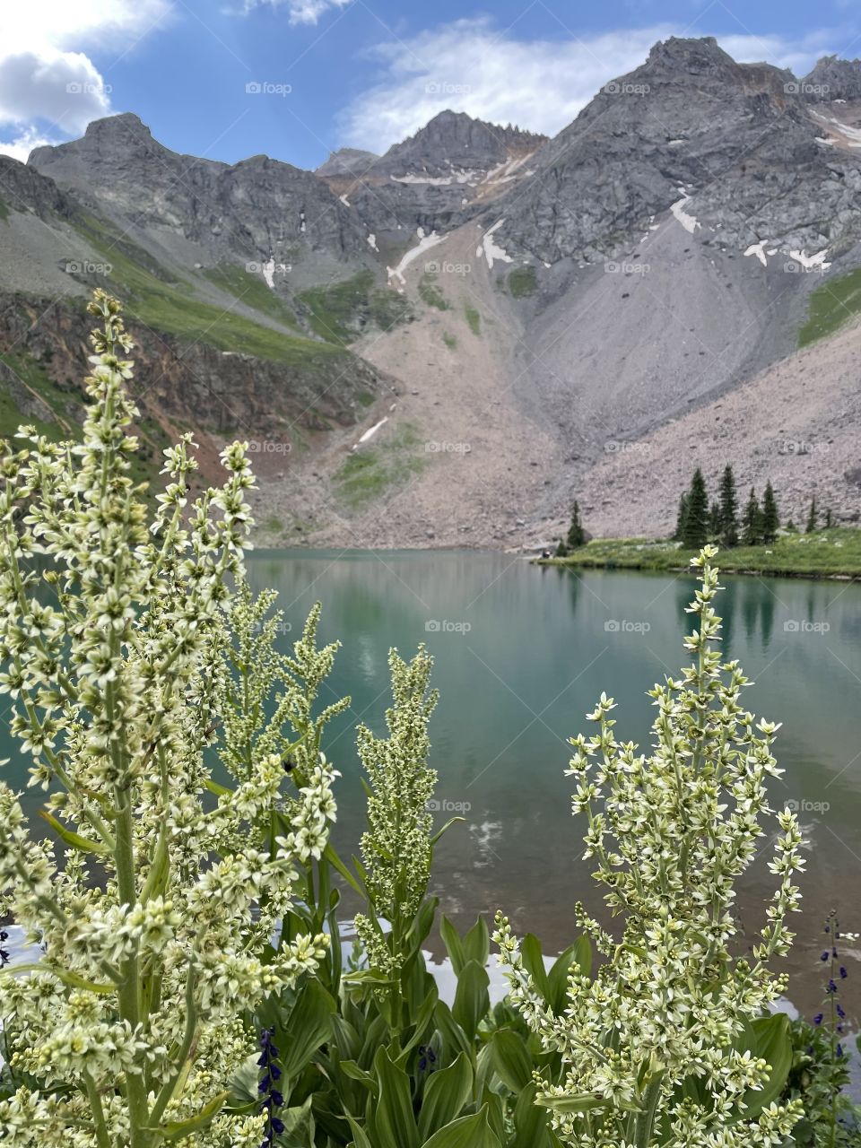 Lake in summer 