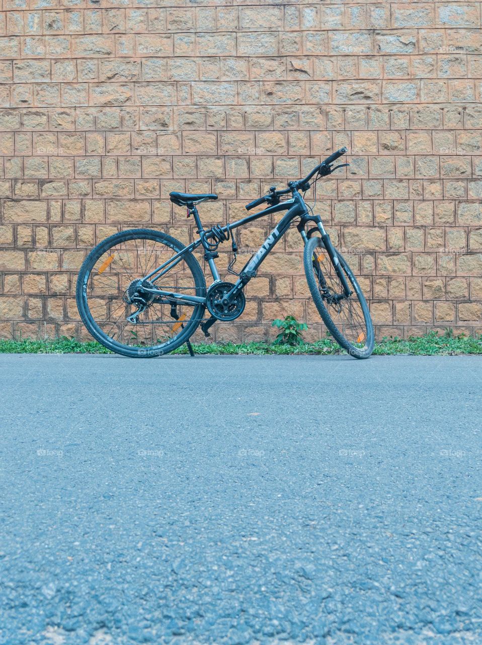 Bicycle Standing On Road