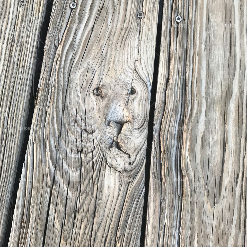 Lion face in the wood floor 