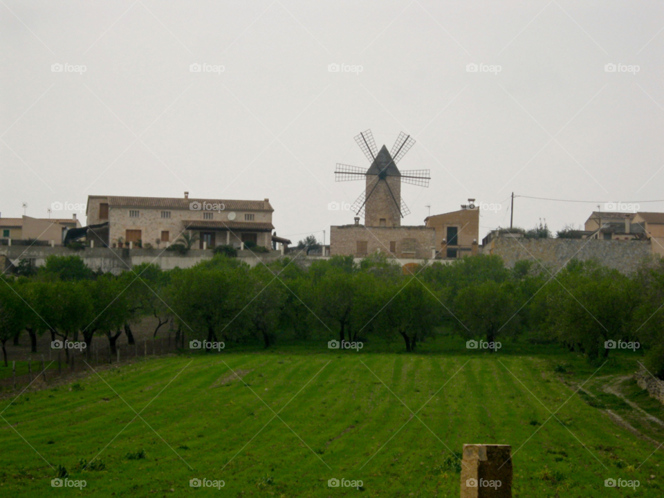 green travel spain windmill by tediiliescu