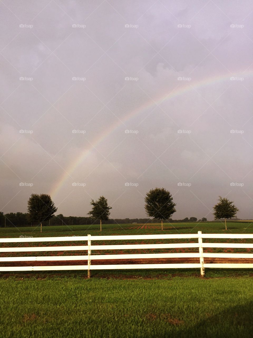 Rainbow over the white picket fence through the fields