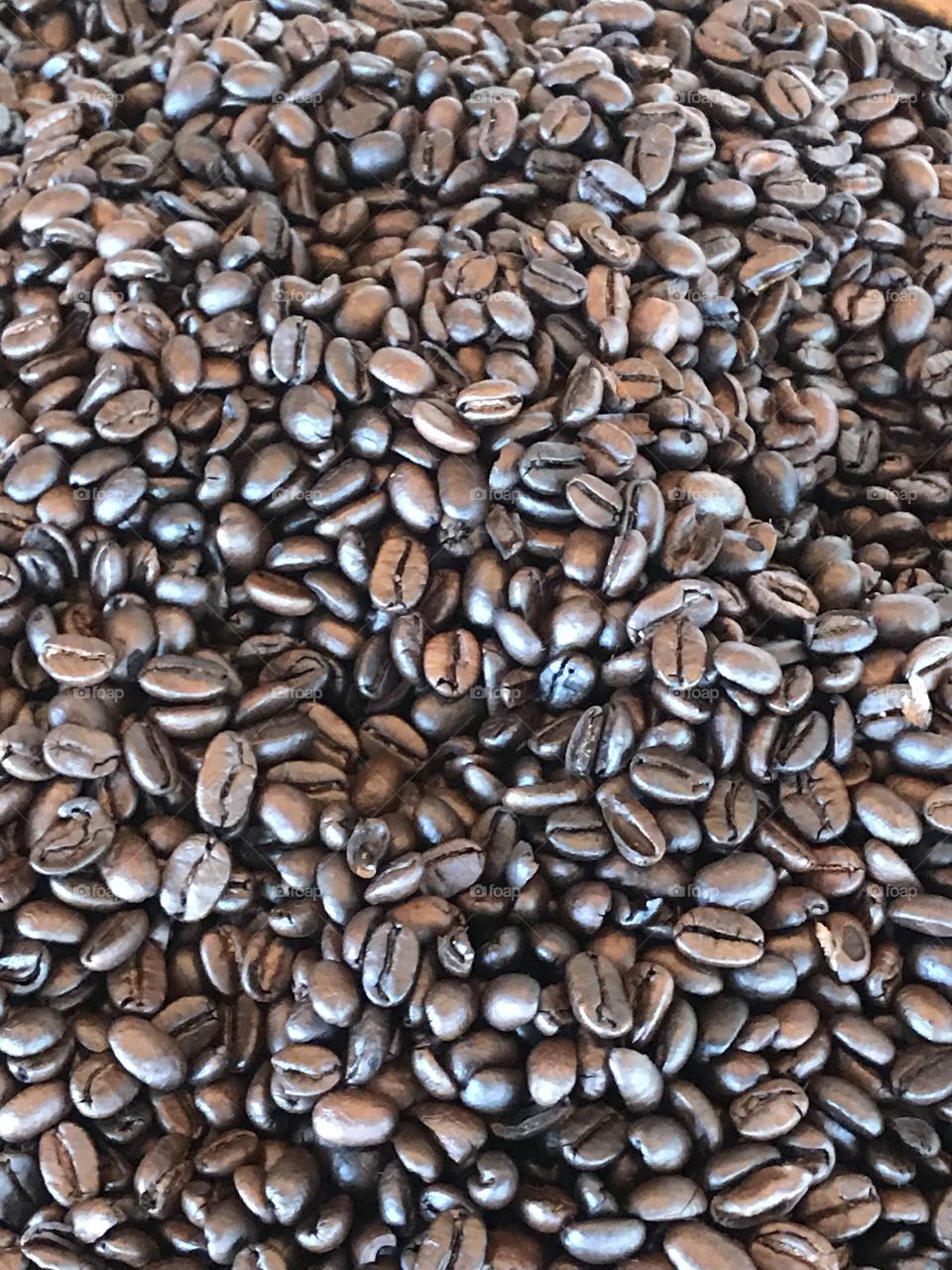 Coffee beans 