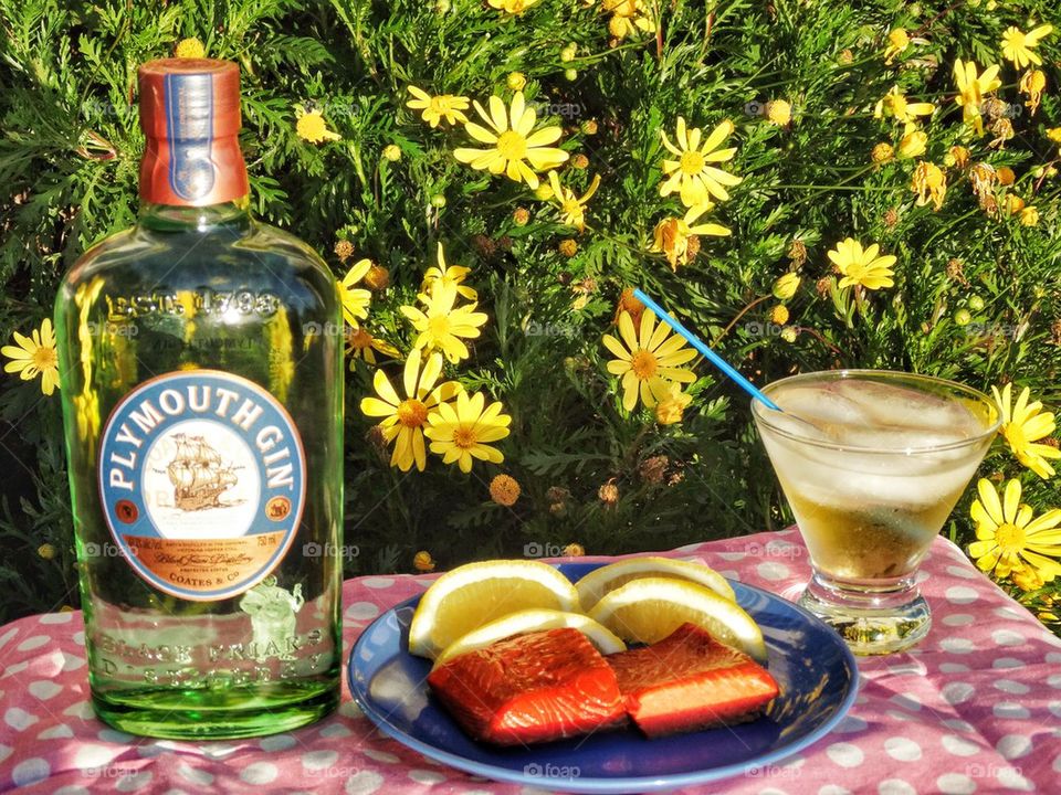 Plymouth Gin And Salmon