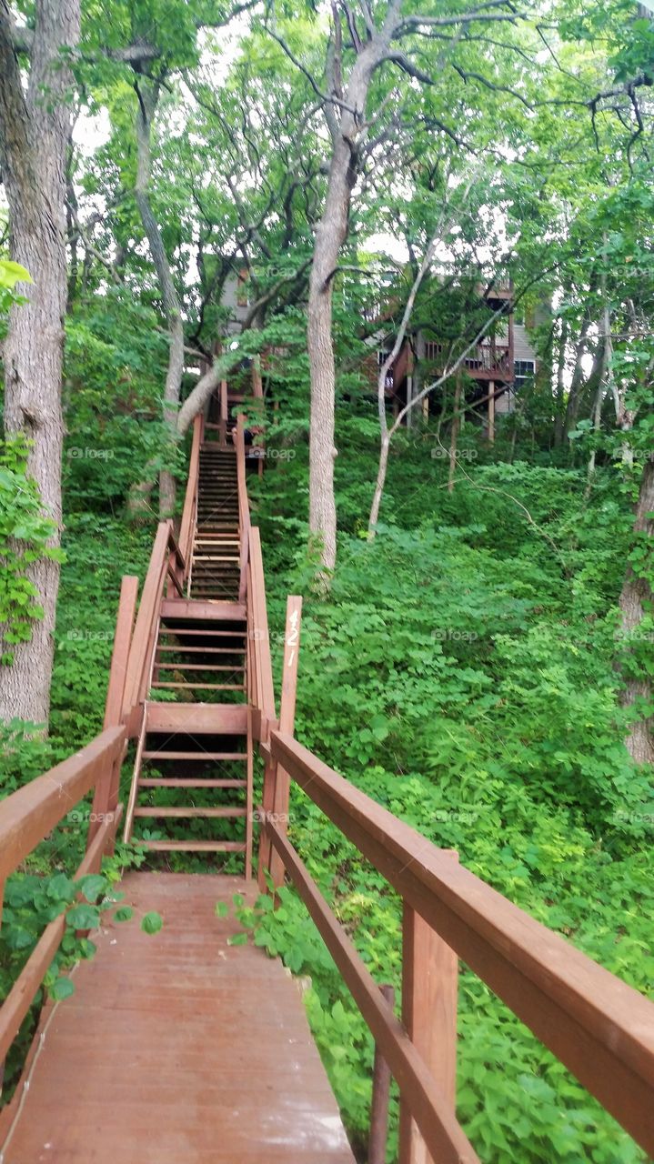 Stairs in Nature
