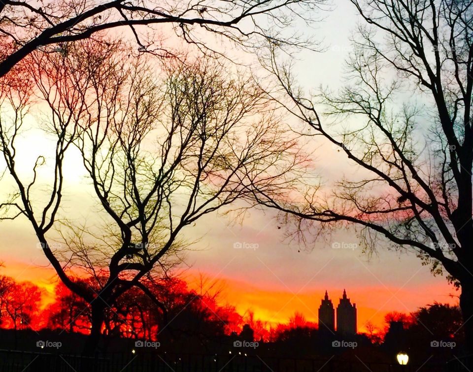 Sunset in Central Park