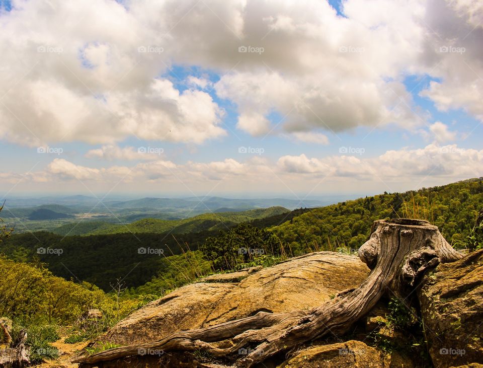 Shenandoah Mountains