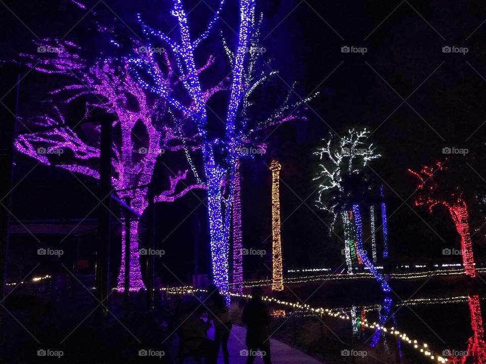 zoo light