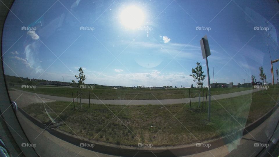 Landscape, Road, Tree, Light, No Person