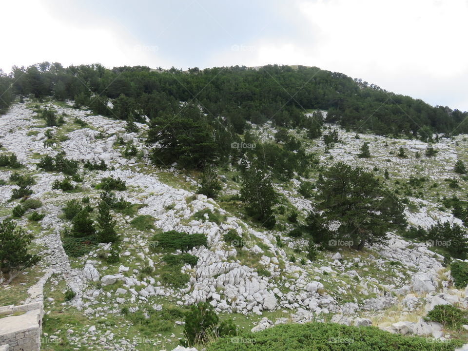 Mountain Orjen Montenegro rocky elevations with scarce vegetation