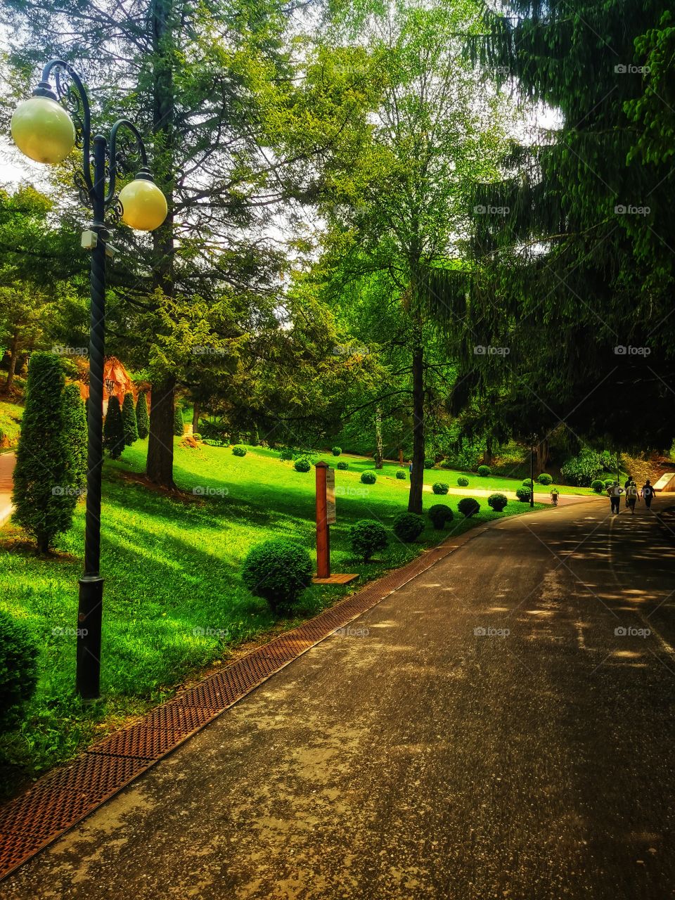 Street day sun building way road decor decoration design view greens outdoor plant flower beauty nature plant Park