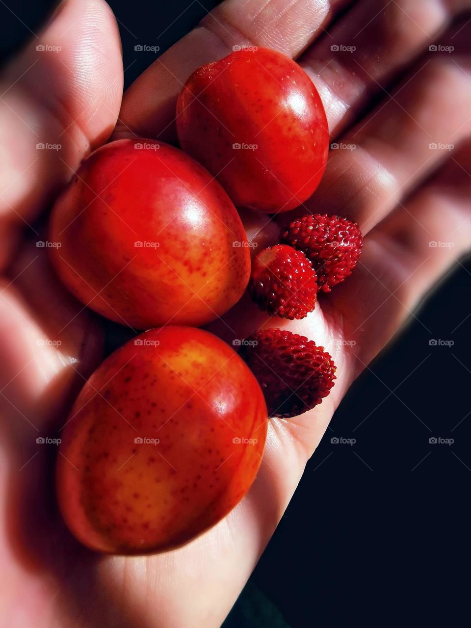 Plums and wild strawberries