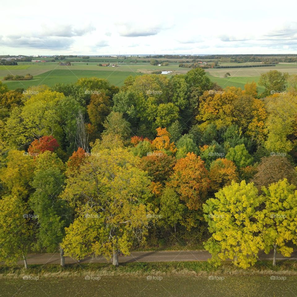 Drone photo in autumn farmland