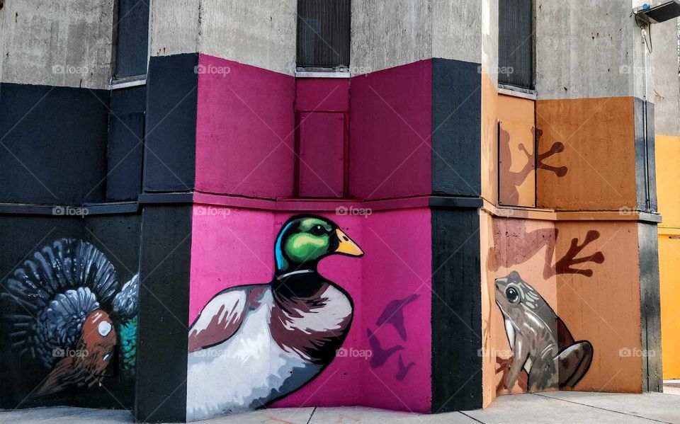 Murals in Oulu, Finland